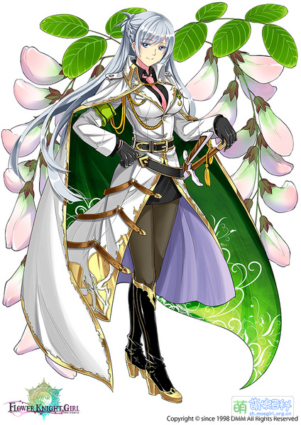 File:FKG robinia-pseudoacacia before.jpg