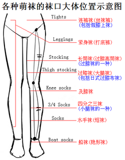 襪子說明