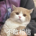 於 2019年9月15日 (日) 23:01 版本的縮圖