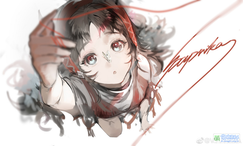 File:Paprika 221006.jpg