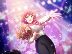 舞台少女的收藏